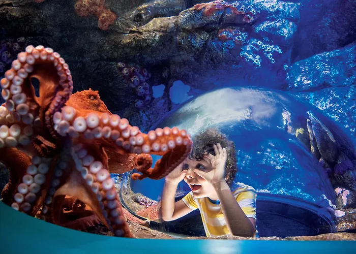 Greentree Inn San Diego Mission Bay